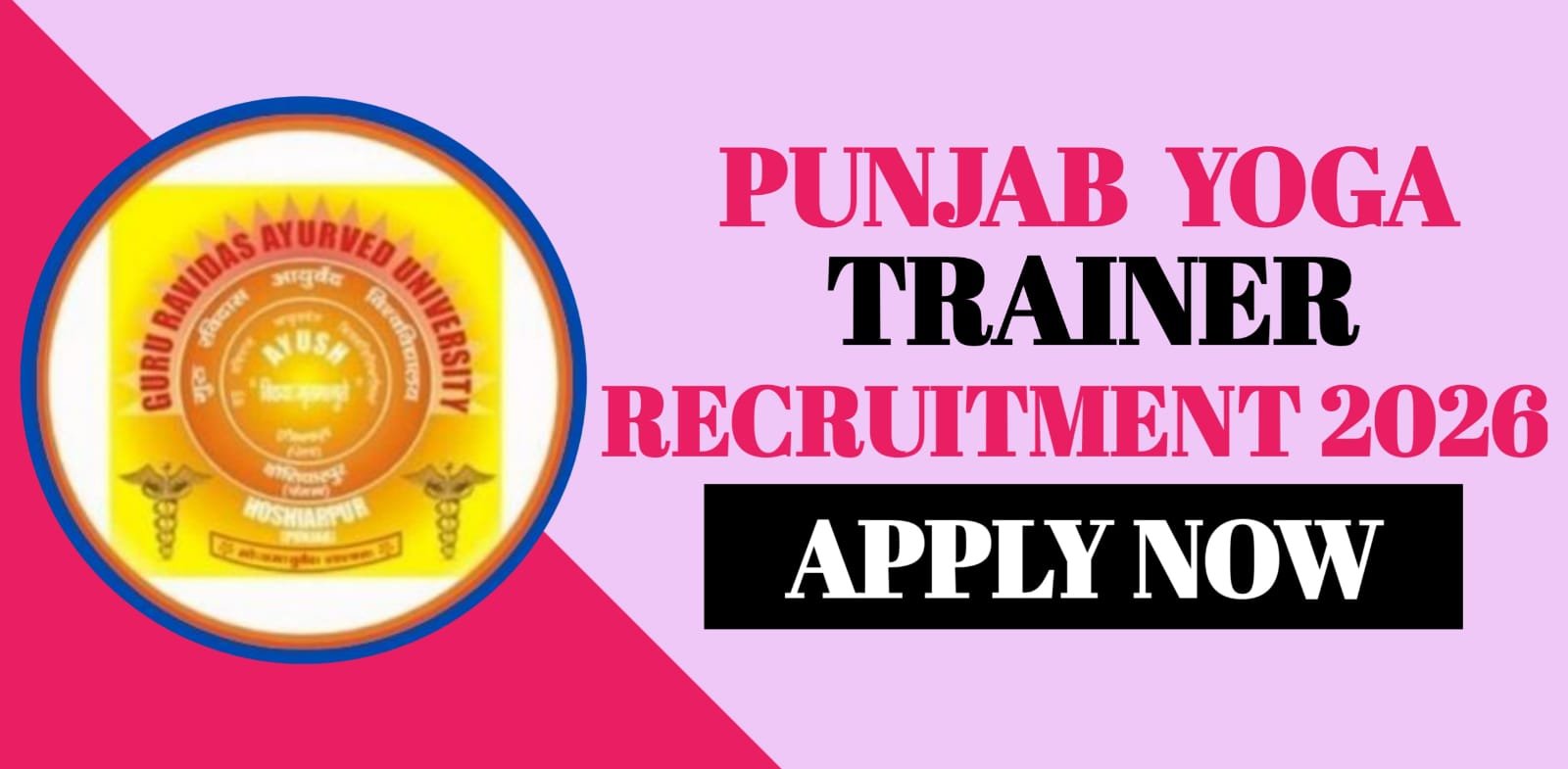 Punjab Yoga Trainer Recruitment 2026