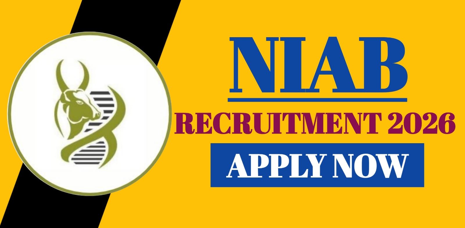 NIAB Recruitment 2026