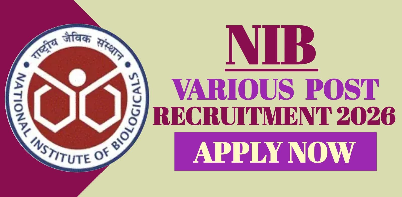 NIB Various Post Recruitment 2026