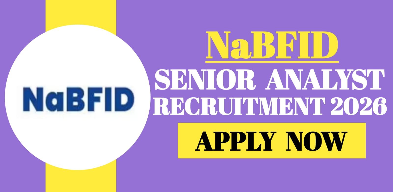 NaBFID Senior Analyst Recruitment 2026