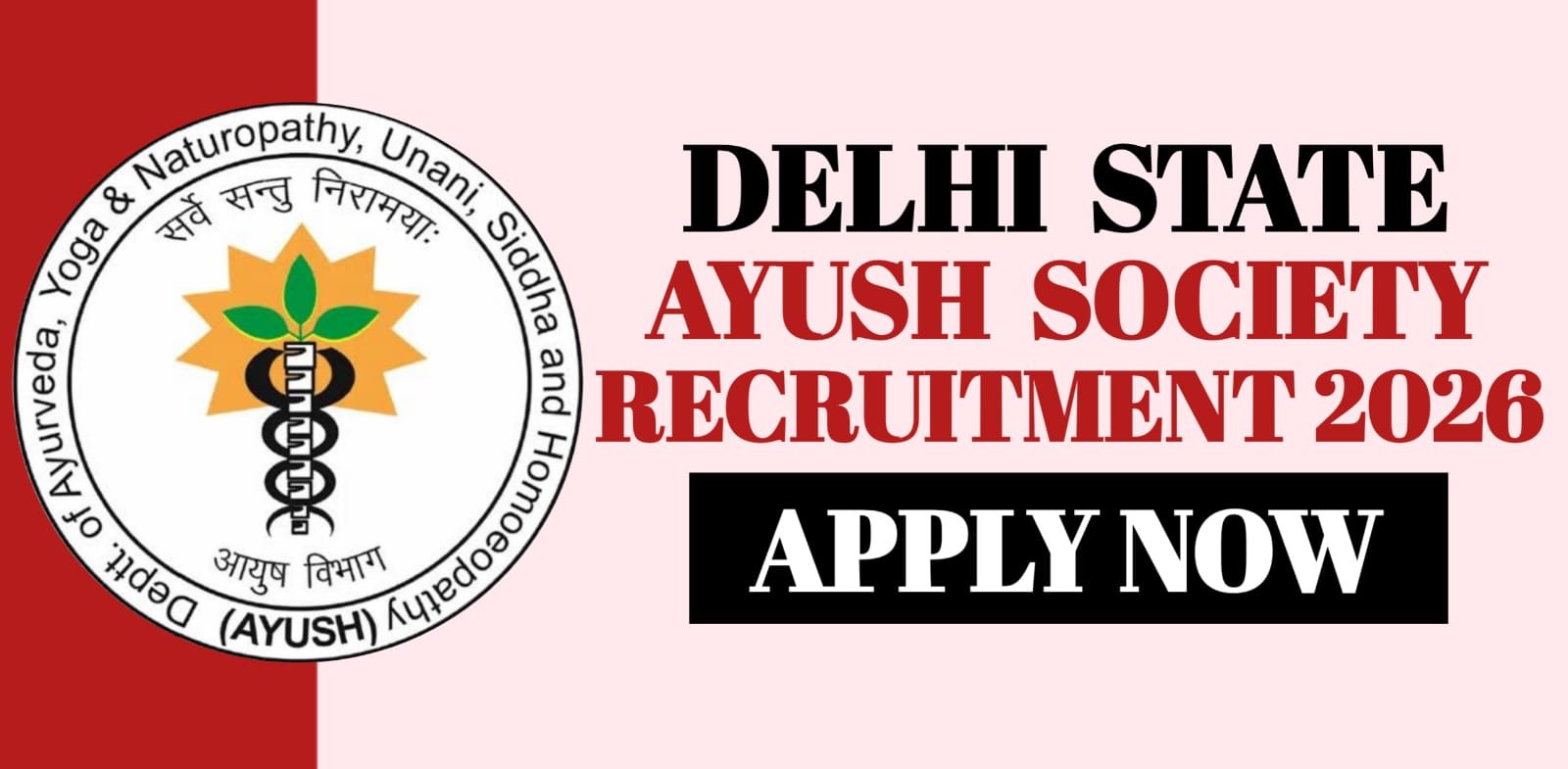 Delhi State AYUSH Society Recruitment 2026