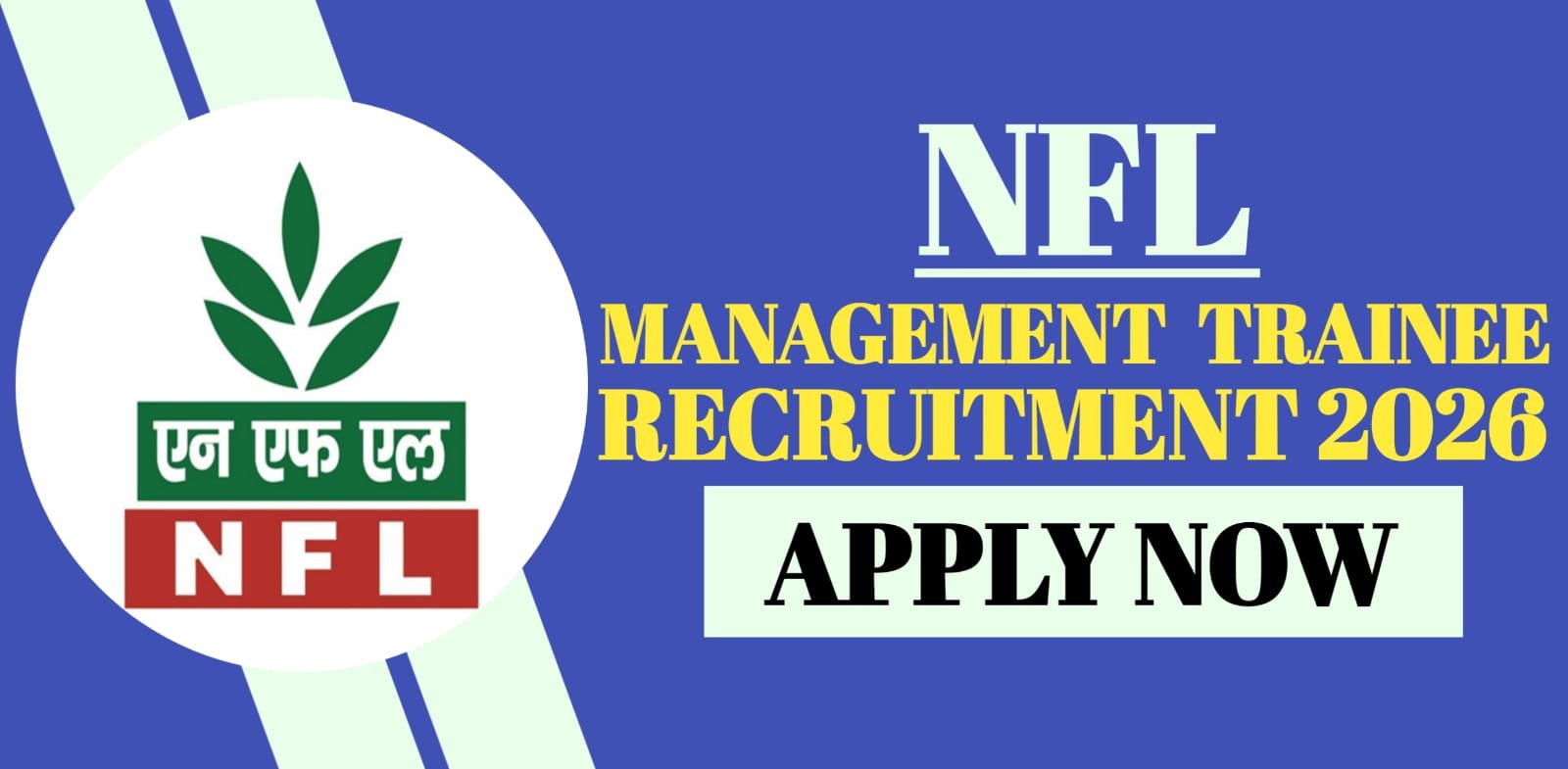 NFL Management Trainee Recruitment 2026