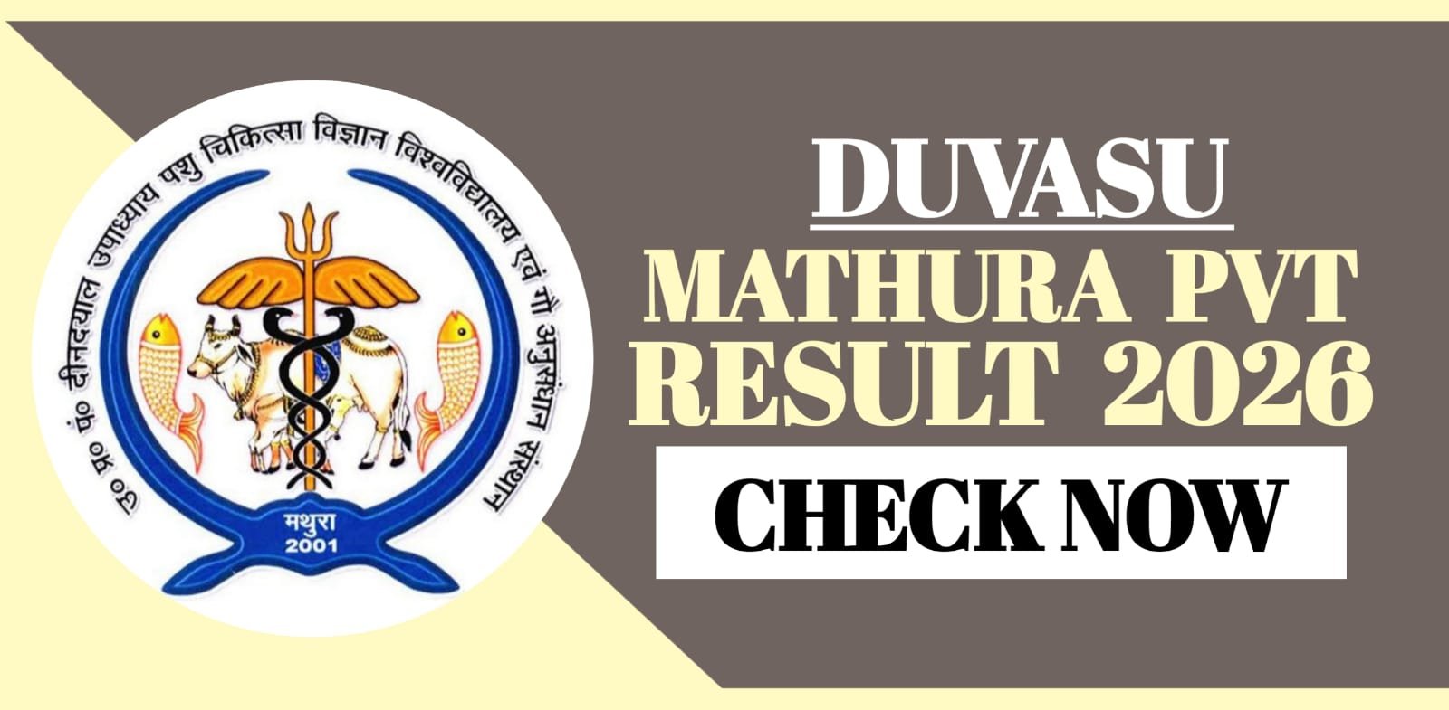 DUVASU Mathura PVT Result 2026