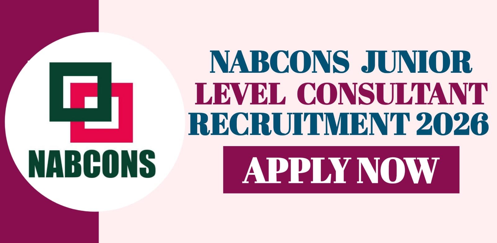NABCONS Junior Level Consultant Recruitment 2026