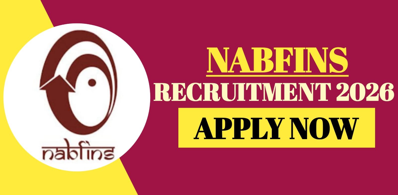 NABFINS Recruitment 2026