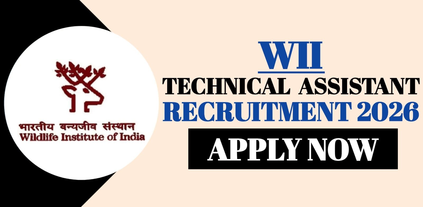WII Technical Assistant Recruitment 2026