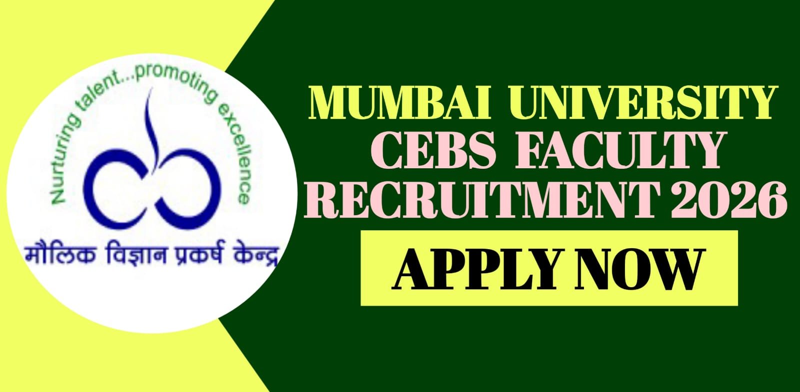 Mumbai University CEBS Faculty Recruitment 2026